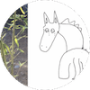katasibo_logo.png